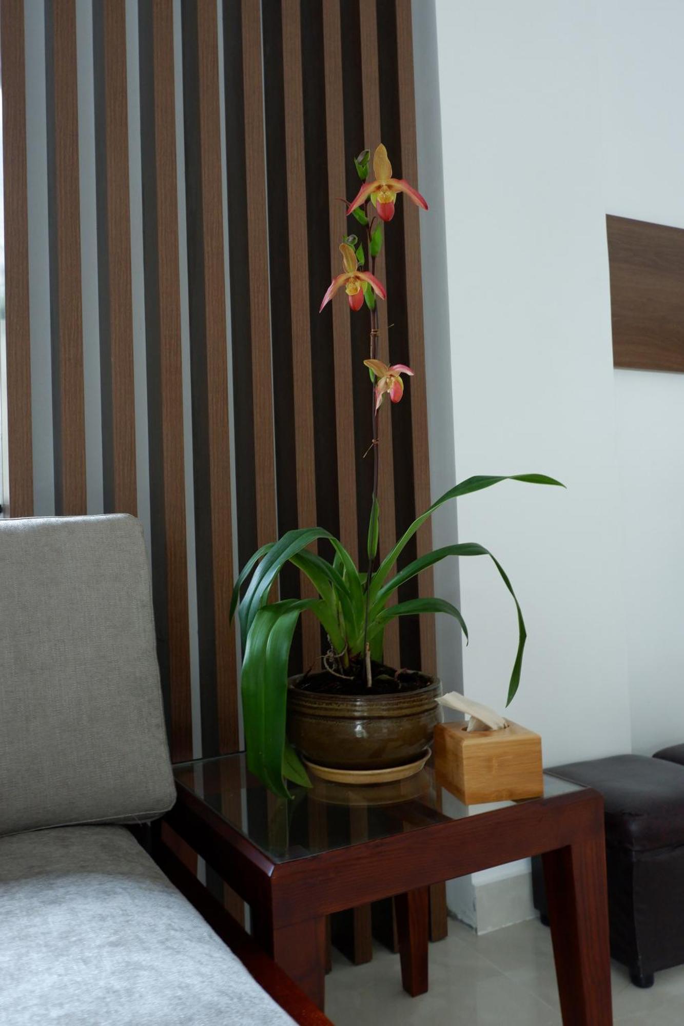 Minh Chi Hotel Da Lat Dış mekan fotoğraf